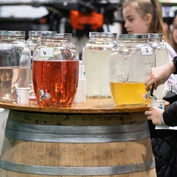Le salon valaisan des formations et métiers. Martigny. Jeudi 9 mars 2023